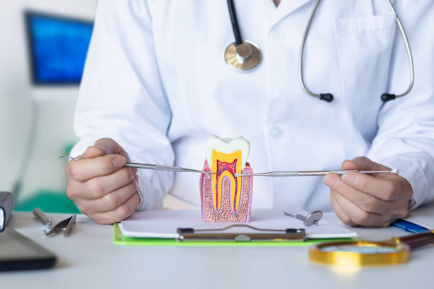 Best Emergency Root Canal Treatment in Queensland, MD